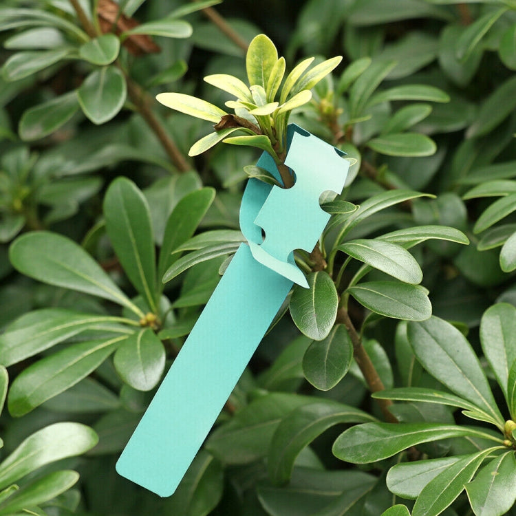 Etichette da giardinaggio in PVC 100 pezzi colorate