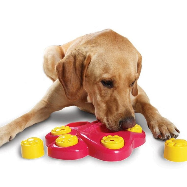 Ciotola Slow Food per Animali Domestici in Plastica 26x26 cm