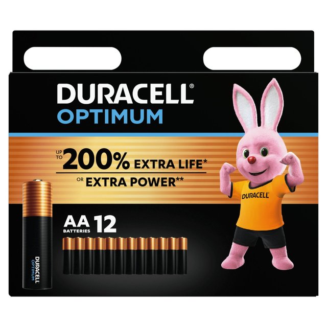 Batterie Alcaline