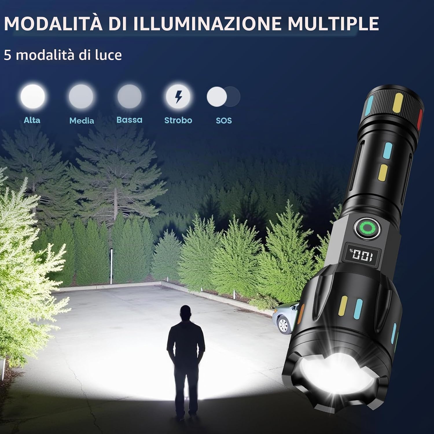 Alt immagine