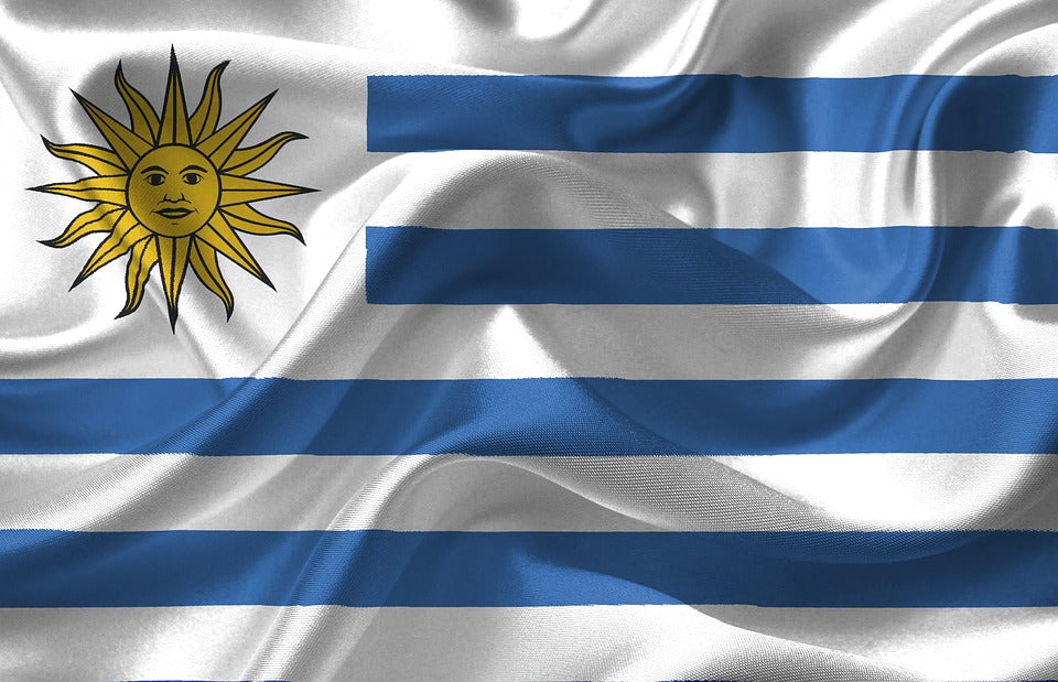 Bandiera Nazionale Uruguay 335x200cm originale Esercito Tedesco