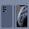 Per Samsung Galaxy S21 Ultra 5G Colore solido Imitazione liquido liquido Silicone Dritto Custodia rigida Custodia Protettiva Full Copertura (Grigio)