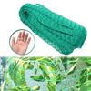Rete anti-uccelli 5Mx10M Rete per piante da giardino in rete per proteggere piante e frutta