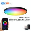 Plafoniera Tuya Smart WiFi a colori RGBCW da 24 W 30 cm con telecomando