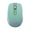 Mouse da gioco wireless silenzioso a 6 tasti Bluetooth Dual Mode iMICE G903 (verde)