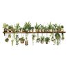 PH-QT4578 Adesivi per decorazioni per la camera da letto con piante bonsai, piccoli adesivi murali decorativi per il soggiorno e il paesaggio, freschi e freschi