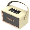 Zealot MT01 Retro Card Altoparlante portatile wireless Bluetooth (bianco)