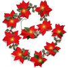 Cartamo + Frutta Rossa Decorazione Natalizia Luci di Fiori di Natale Stringa LED Luci Colorate Ghirlanda Natalizia, Stile: 2m 10 Luci USB