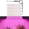 Pannello USB da 5 V, luce per piante, temporizzazione intelligente, LED per la crescita delle piante, dimensioni: 4 teste (luce rosa e viola)