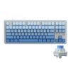 Tastiera meccanica wireless Bluetooth Ajazz AK870 Tri-mode RGB fai da te Tastiera da gioco Hot Swap personalizzata, stile: Flying Fish Axis Gradient Blue