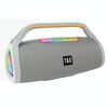 T&G TG417 40W Altoparlante Bluetooth wireless portatile con doppio microfono per esterni (grigio)