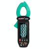 Pinza amperometrica WINAPEX Misuratore di tensione e corrente AC/DC ad alta precisione (268B)