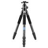 Treppiede portatile pieghevole in fibra di carbonio BEXIN RC334 con testa a sfera panoramica K44