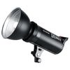 Godox DS300II 300Ws Studio Flash Light Strobe Lampada Testa Bowens Mount Speedlight (AU Plug)