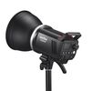 Godox MS300-V Studio Flash Light 300Ws Bowens Mount Strobe Light con copri lampada (spina UK)