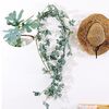 Decorazione della finestra della parete del fondo interno della vite del fiore artificiale della foglia della margherita, lunghezza: 1.5m