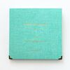 Bill Storage Book Biglietti concerti Biglietto cinema Biglietto treno Preferiti Album Book (menta)