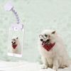 Cat per cani del cane della macchina fotografica dell'animale domestico che esamina la clip del telefono della macchina fotografica (bianco)