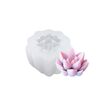 SX-ZW-195 Stampo in silicone per candela tridimensionale carnosa Stampo epossidico per aromaterapia sapone fatto a mano fai da te