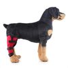 HJ19 PET CHIRURGIA Riabilitazione posteriore Pellicola Protezione per le gambe AID AIDS, Dimensioni: L (Gamba rossa destro posteriore)