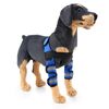Pet Dog Gambe Ginocchio Guardia Chirurgia Infortunio Copertura protettiva, Dimensioni: S (modello di sostegno modello (blu))