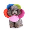 Collare per la protezione del fiore del cane di protezione dell'animale domestico, specifica: l (arcobaleno)