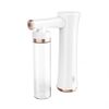 XL022 Blue Light Nano ad alta pressione Ossigeno portatile Strumento di bellezza Strumento Essence Importatore (Bianco)