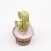 3 pezzi Mini casa delle bambole Mobili Giardino fiorito Decorazione scena Resina carnosa Bonsai in vaso (2)
