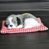 La simulazione chiamerà il cane che dorme Ornamenti Giocattolo Bambola creativa Regalo per bambini (grigio)