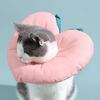 Cat Elizabeth Collar Covere Cover antisetting Cover, dimensioni: L (pesca)