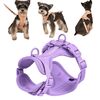 Cinturino pettorale per cani color macaron con cinturino in PVC per animali domestici, taglia: M (viola)
