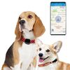 RF-V43 B Style IP67 GPS impermeabile + LBS + WiFi Localizzatore di animali domestici Dispositivo di localizzazione del collare per animali domestici per Nord America/Sud America/Australia (nero)