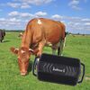TKSTAR TK935 3000mAh GPS Pet Bestiame Car Tracker IP65 Livello Impermeabile Localizzatore (Nero)