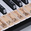 M52 88/76/61/54/49 Tasti tastiera per pianoforte (giraffe)