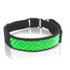 Collare per animali domestici con display a LED Collare monocolore fai-da-te ad alta visibilità ricaricabile (verde)