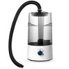 Umidificatore per rettili 4L Fogger Nebbia fredda Nebbia Mister con tubo per tartaruga Habita AU Plug