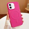 Per iPhone 16 Plus Custodia per telefono in TPU MagSafe a strisce (rosso rosa)