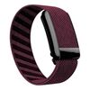 Per cinturino elastico in nylon WHOOP 4.0 (prugna)
