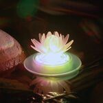 Lampada decorativa variopinta della lampada colorata della lampada variopinta della lampada variopinta della lampada variopinta della luce solare (Lotus)