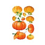 10 PCS Thanksgiving Turkey Sticker Sticker Sticker Sticker Vetro decorazione wall Sticker (BQ070)