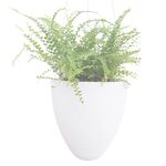 Flowerpot in plastica appeso a filo con assorbimento automatico dell'acqua e superficie smerigliata (calibro D09 19 cm)