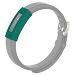 Per Fitbit Alta / Alta HR / ACE Custodia in silicone con copertura intera (anatra verde)