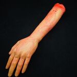 52 cm Halloween Horror Puntelli April Fool Day Party Prop Decorazione di parti del corpo Mano lunga insanguinata
