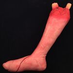 55 cm Halloween Horror Puntelli April Fool Day Party Prop Decorazione di parti del corpo Lungo piede sanguinante