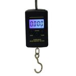 Mini bilancia da pesca digitale da 10 g Bilancia da pesca da viaggio Steelyard Appeso a gancio elettronico Bilancia da cucina, Capacità: 40 kg con retroilluminazione