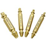 Estrattore per viti 4 in 1 Strumento per rimozione bulloni rotti (1 #, 2 #, 3 #, 4 #), con custodia in plastica