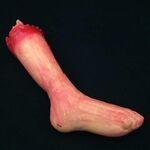 42 cm Halloween Horror Puntelli April Fool Day Party Prop Decorazione di parti del corpo Lungo piede sanguinante