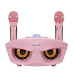 SD-306 2 in 1 famiglia KTV portatile wireless doppio microfono live + altoparlante Bluetooth (rosa)