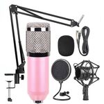 BM-800 Network K-Song Set microfoni in metallo di fascia alta dedicati con montaggio antiurto (rosa)
