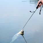 Gaff da pesca professionale allungabile da 95 cm con gancio da pesca con cordino